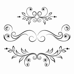 Fototapeta premium floral design elements