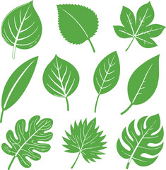 Green Leaf Icons Set – Eco Nature Symbol Collection on White Background Vector
