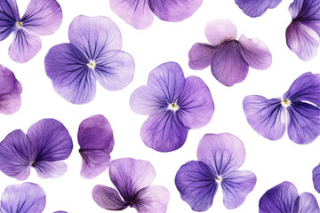 Purple Floral Patterns on transparent background
