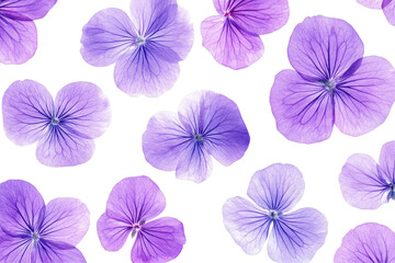 Purple Floral Patterns on transparent background