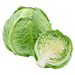 Fototapeta premium Cabbage on Transparent Background