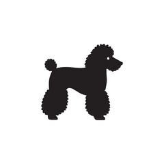 silhouette of a papu dog