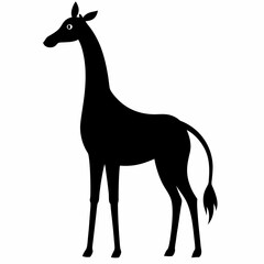 Obraz premium giraffe vector illustration