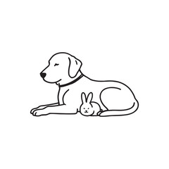 labrador retriever dog