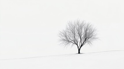 Fototapeta premium Lone tree, winter landscape, snowy field, minimalist