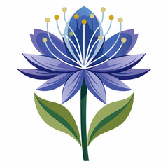 blue and white flowers