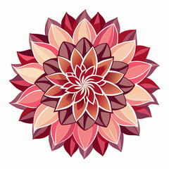 pink lotus flower