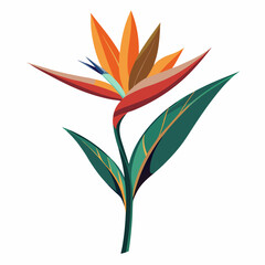 flower vector illustration