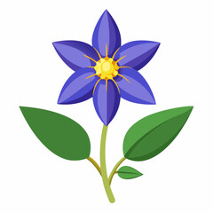 blue and white flower