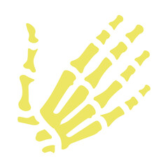 Xray Vector Flat Icon Design