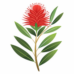 vector illustration of a red flower