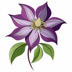 pink flower isolated on white background