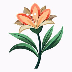 orange lily flower