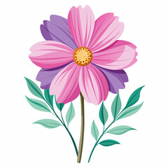 pink and white daisies