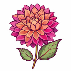 vector illustration of pink dahlia