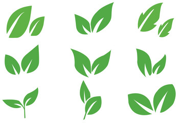 Green leaf icons set. Leaves icon on isolated background. Collection green leaf. Elements design for natural, eco, vegan, bio labels. Vector illustration