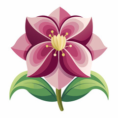 vector illustration of pink flower