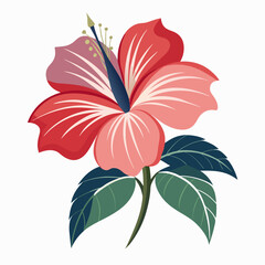 pink lily isolated on white