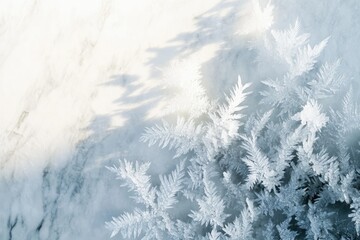 Obraz premium Intricate ice crystals resembling fern leaves, delicately formed on a marble-like surface.