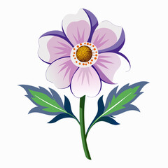 pink flower isolated on white background