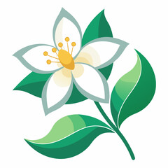 vector illustration of a lily