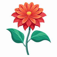 red and yellow dahlia