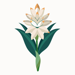 lotus flower vector illustration