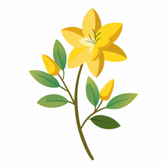 yellow flower isolated on white