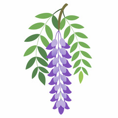 green leaves isolated on white