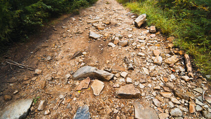 Rugged mountain path winding through verdant woodland, challenging hikers with scenic wilderness...