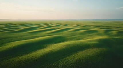 Obraz premium Rolling Green Field Under a Peaceful Sky