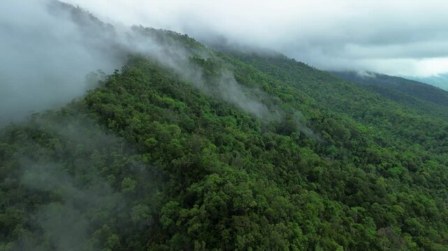 Fog drifting over rainforest mountain slope near Estrella Waterfall in Palawan with dense green canopy low clouds and remote tropical valley