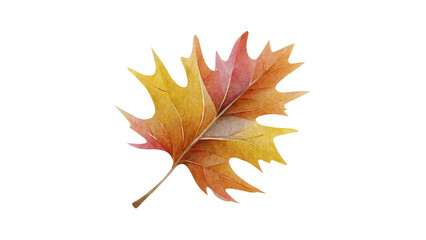A crisp autumn leaf graphic, perfect for seasonal, fall, or nature-inspired designs.