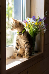A kitten is sitting on the windowsill of a wooden house, next to wild summer flowers in a glass