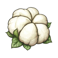 Obraz premium Illustration of a cotton boll with white fibers and green leaves on a black background art style