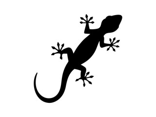 Blue gecko silhouette vector flat illustration design.