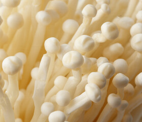 A close up of a bunch of white mushrooms with a lot of small white dots on them