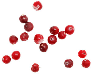 A bunch of frozen red berries are scattered across a white background
