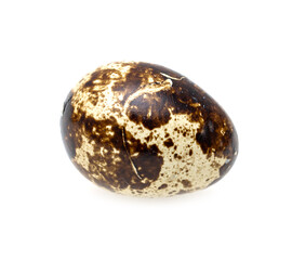 quail egg on white background.