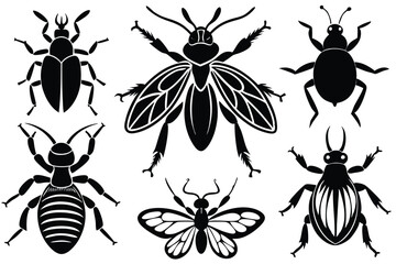 Six Insect Illustrations, Various Bug Species, Entomology Designs, 
