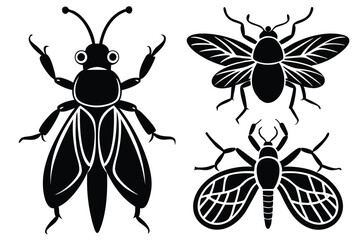 Black Insect Silhouettes with Wings 