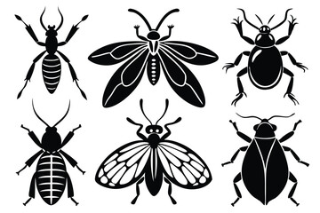 Six Black Bug Silhouette Outlines 