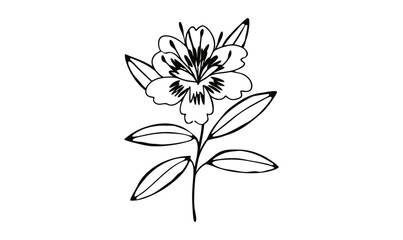 vector illustration of a flower