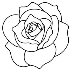 Flower Line Art – Hand-Drawn Botanical Illustrations