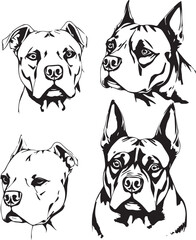 A set of Pit Bulls. Hand drawn vector illustration