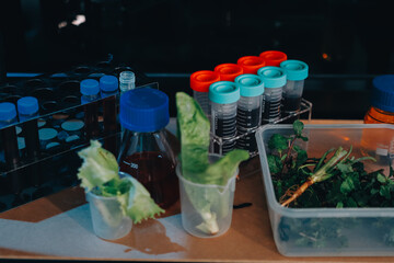 Team Asian scientists in a lab conducting food research using a microscope and lab equipment,...