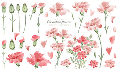 水彩で描いたカーネーションの花の素材セット