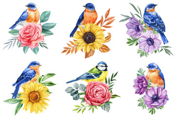 Set colorful birds, rose, peony, yellow sunflower, purple anemone, green leaves. Floral for summer garden design clipart