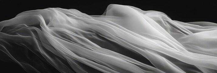 Abstract black and white image showing layered textured shapes with