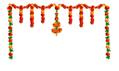 marigold flower toran on transparent background. Garlyanda marigold flowers